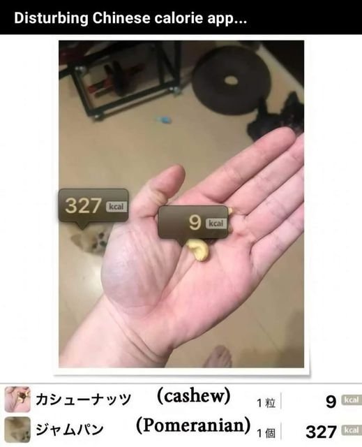 Thumbnail of www-x-com-high-t-memes-status-1824074110164463654-774a6138f35e4959