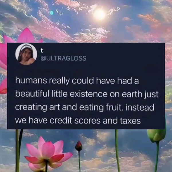 Thumbnail of p-c85cmdruvw4-7764d762f38840a7 5