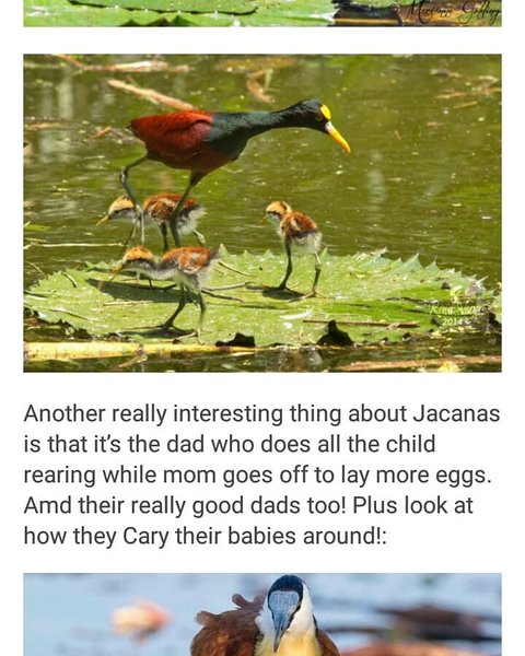 Thumbnail of p-bftrniyhohl-776afd3c0091409f 2