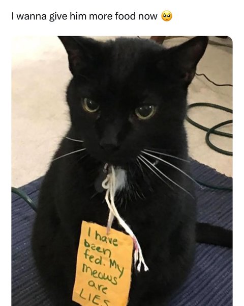 Thumbnail of p-c1gq1rtqtca-779343dbcab2415e 0