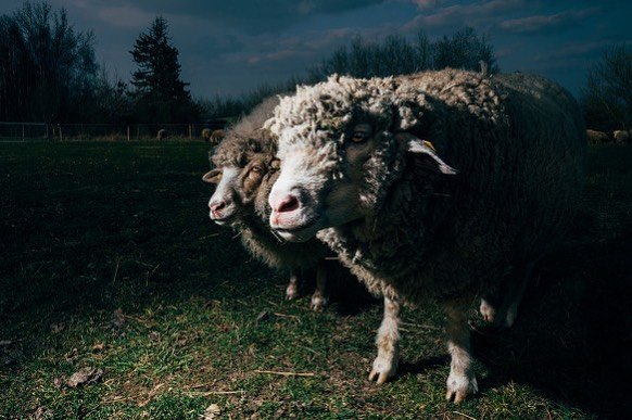 Thumbnail of p-czptiltoizx-77a84db359894306 0