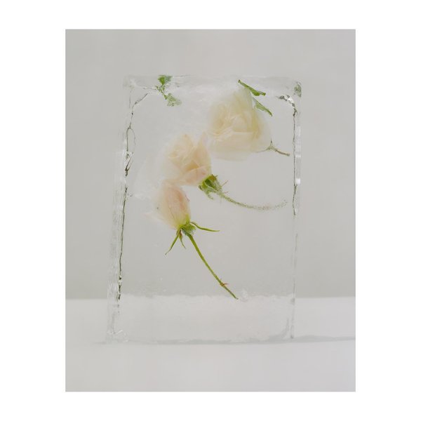 Thumbnail of p-cmqhv6vh5lg-77bd99703fdc49fd 5