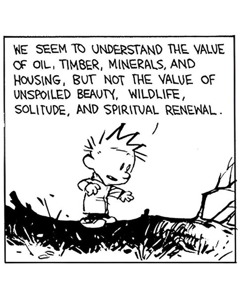 Thumbnail of p-c72r0uzknpt-77c78d86238047cd 5