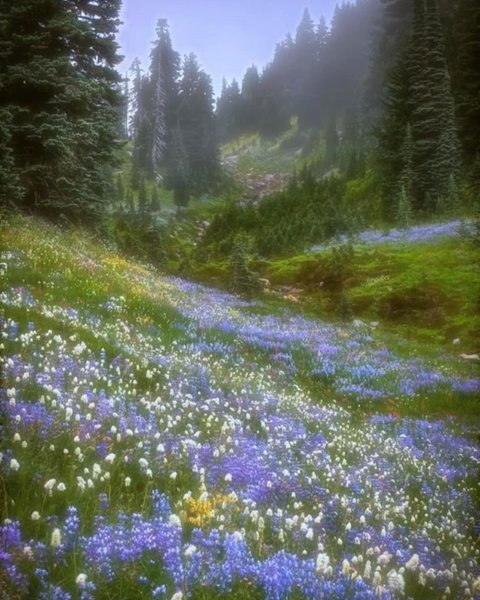 Thumbnail of p-dbw3fndyokz-78114bf64db940c1 1