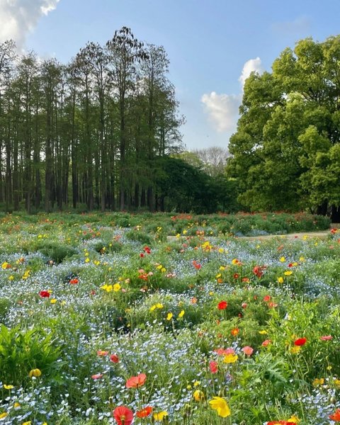 Thumbnail of p-dbw3fndyokz-78114bf64db940c1 10