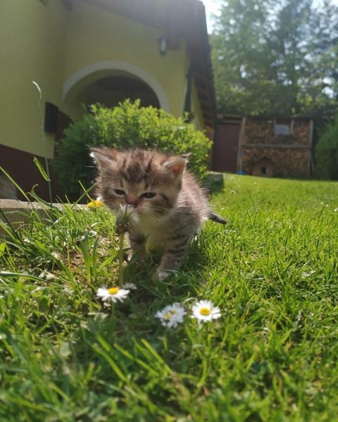 Thumbnail of p-dbw3fndyokz-78114bf64db940c1 3