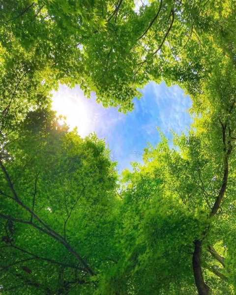 Thumbnail of p-dbw3fndyokz-78114bf64db940c1 4