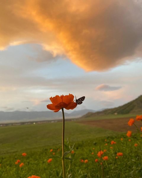 Thumbnail of p-dbw3fndyokz-78114bf64db940c1 5