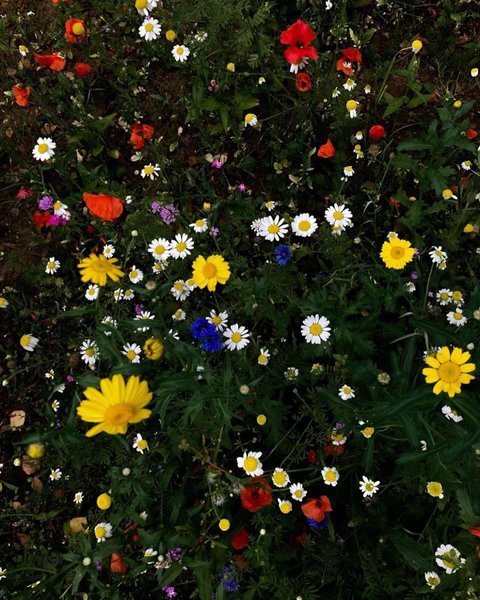 Thumbnail of p-dbw3fndyokz-78114bf64db940c1 6