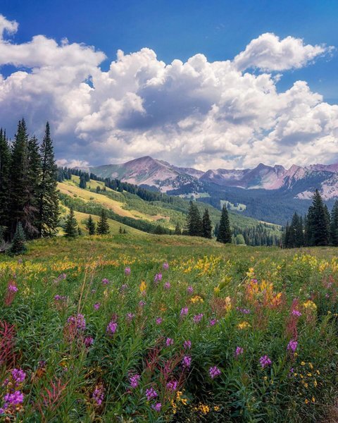 Thumbnail of p-dbw3fndyokz-78114bf64db940c1 7