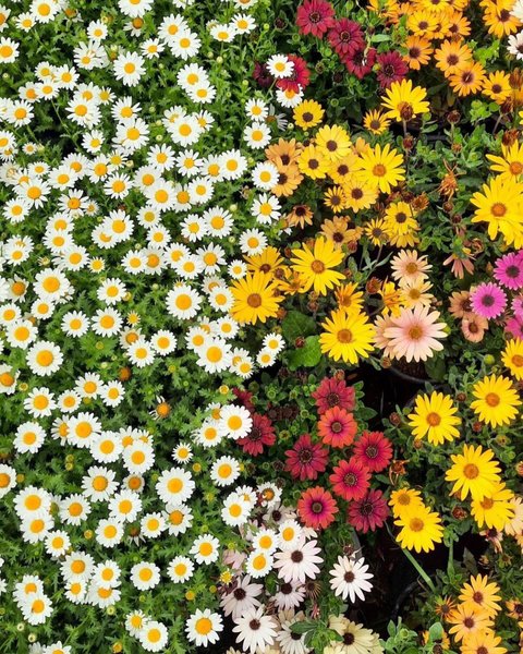 Thumbnail of p-dbw3fndyokz-78114bf64db940c1 8