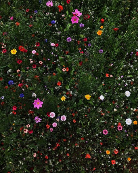 Thumbnail of p-dbw3fndyokz-78114bf64db940c1 9