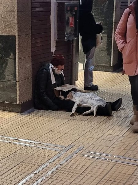 Thumbnail of p-dpob8zvjogp-7884e2187b1745dc 0