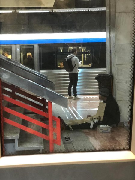 Thumbnail of p-dpob8zvjogp-7884e2187b1745dc 1