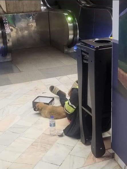 Thumbnail of p-dpob8zvjogp-7884e2187b1745dc 2