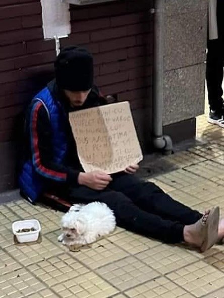 Thumbnail of p-dpob8zvjogp-7884e2187b1745dc 3