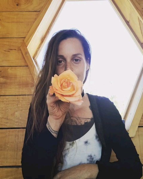 Thumbnail of mc2-rots-78a0bede0b08423a 1