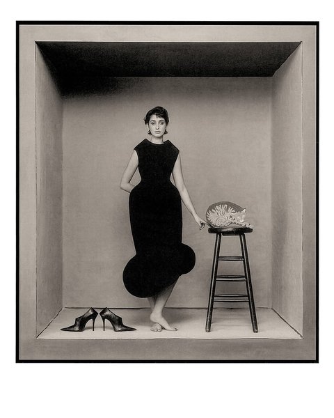 Thumbnail of www-instagram-com-p-dsmu6mrcgvx-img-index-6 7