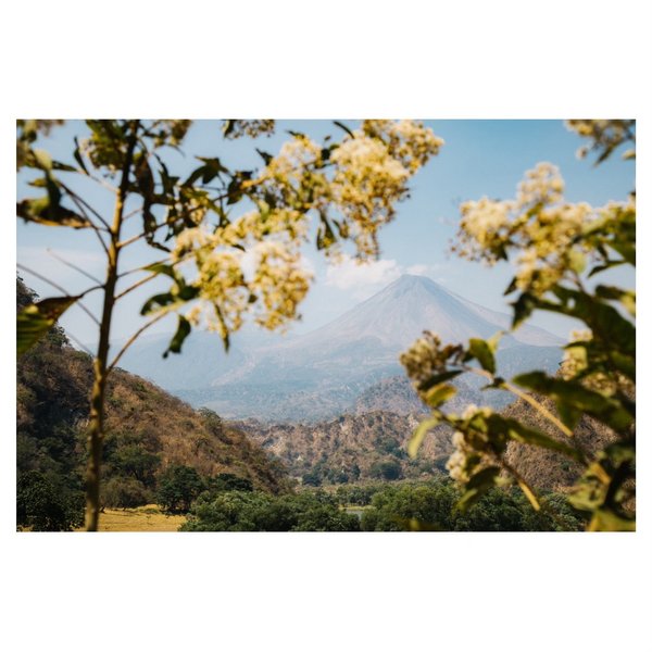 Thumbnail of bx8uf9-jznl-78b9892455514306 0