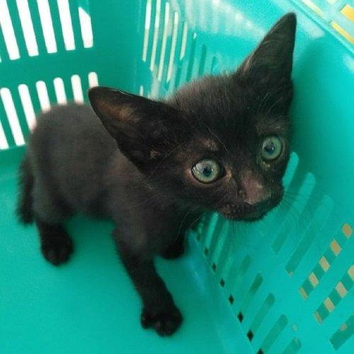 Thumbnail of p-csali9zmf3k-78fb01bee3814e4d 0