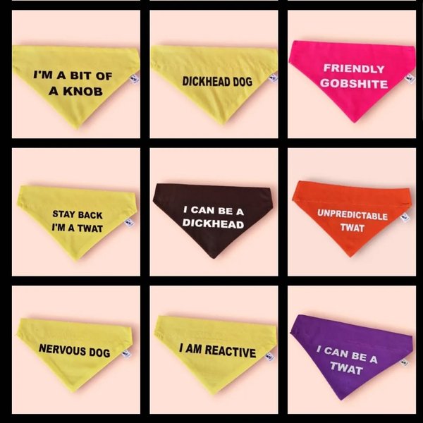 Thumbnail of p-c9wmtvmi7ob-7916d8ec37d5442e 6