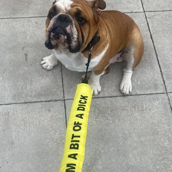 Thumbnail of p-c9wmtvmi7ob-7916d8ec37d5442e 8