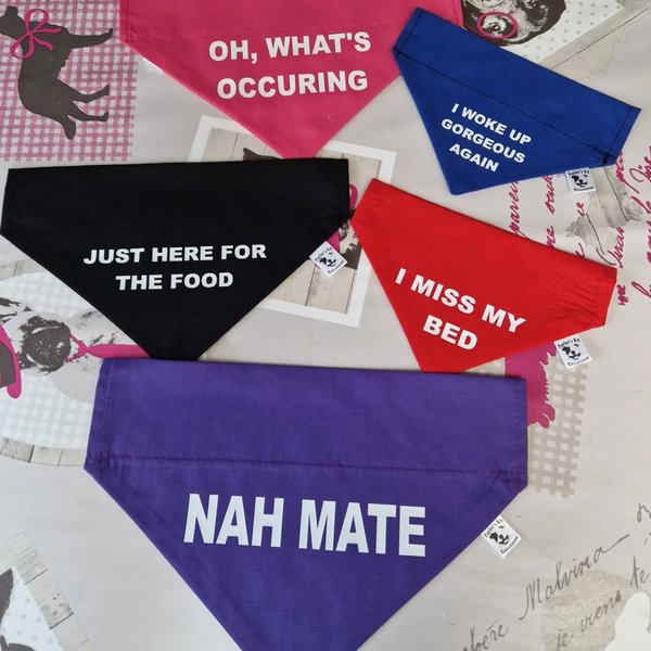 Thumbnail of p-c9wmtvmi7ob-7916d8ec37d5442e 9