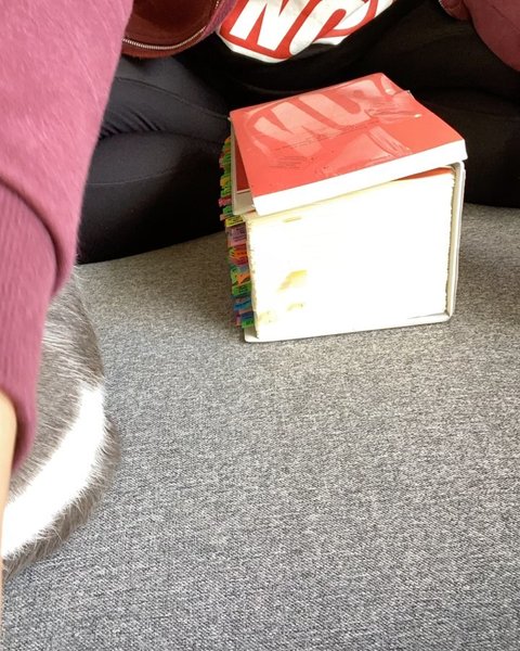 Thumbnail of p-cdbbsegopyt-7925515ef3c64d13 1