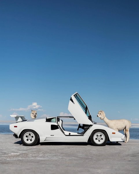 Thumbnail of p-dhqopurpjyk-793c580b21f34315 1