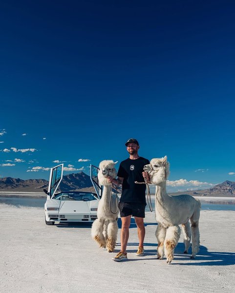 Thumbnail of p-dhqopurpjyk-793c580b21f34315 10