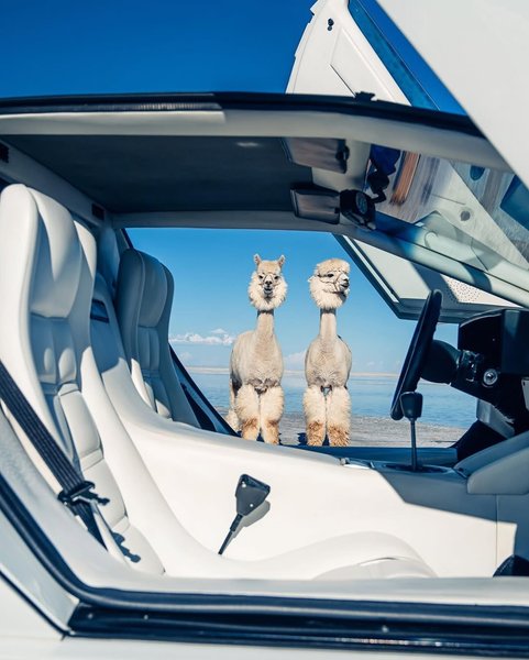 Thumbnail of p-dhqopurpjyk-793c580b21f34315 2