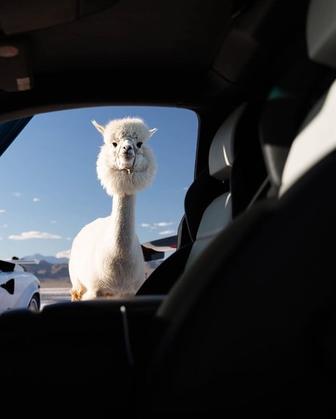 Thumbnail of p-dhqopurpjyk-793c580b21f34315 5