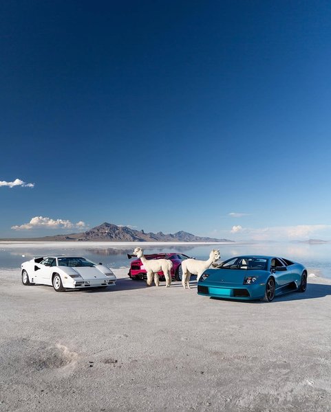 Thumbnail of p-dhqopurpjyk-793c580b21f34315 6