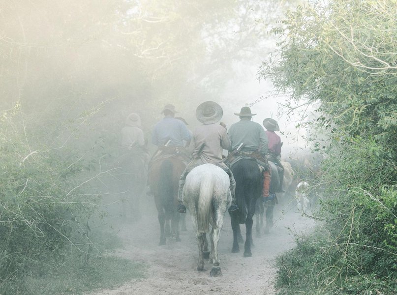 Thumbnail of p-b4adkq2ajzz-7956320f07f7432a 0