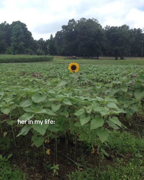 Thumbnail of p-dkq1oo5p5sq-797dbfa7b7d04214 0