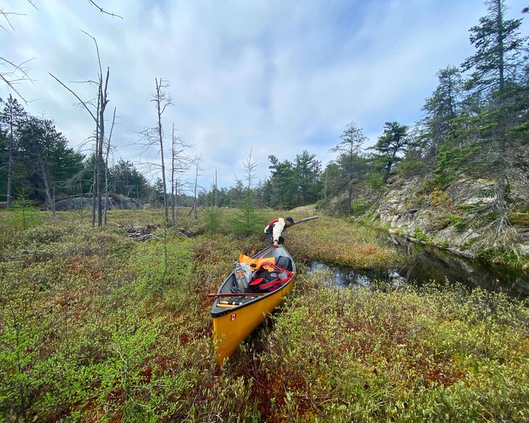 Thumbnail of p-dh4uzi0pnkw-799265ea454c4221 0