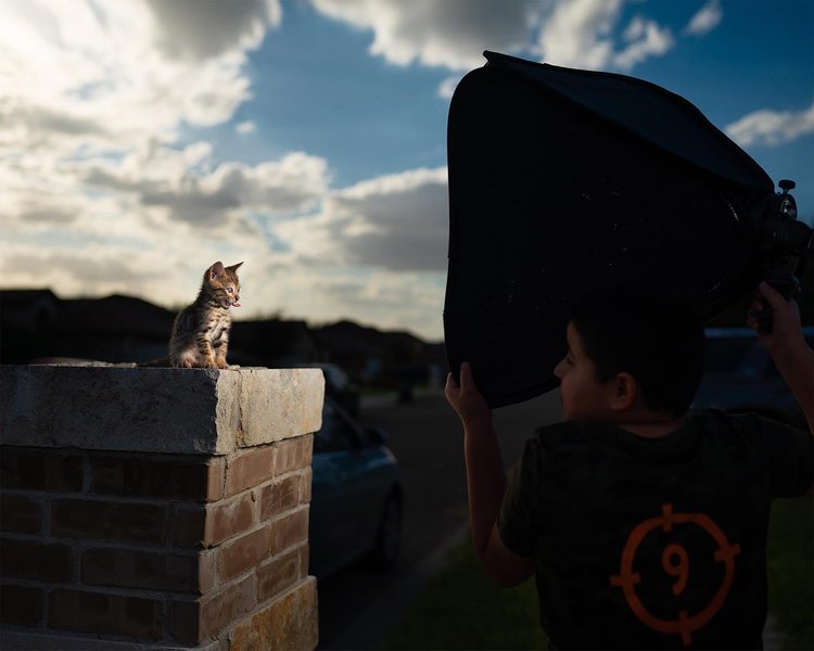 Thumbnail of p-cjqu4rdhipz-79ab88673a304a65 1