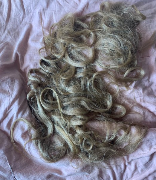 Thumbnail of p-cidyu7uvvqt-79d18f8a0fac40b9 7