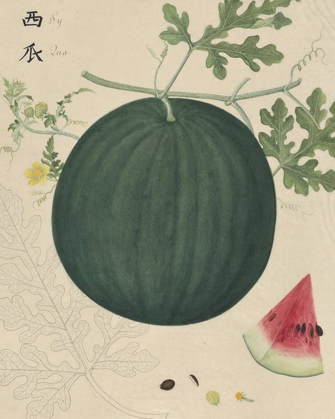 Thumbnail of www-instagram-com-p-dsslosfcphu-img-index-3 1