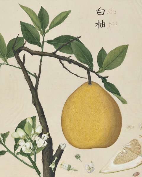 Thumbnail of www-instagram-com-p-dsslosfcphu-img-index-3 3