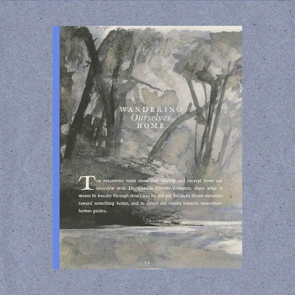 Thumbnail of dcmkbv5t3-k-7a4c8809d9d14da6 5