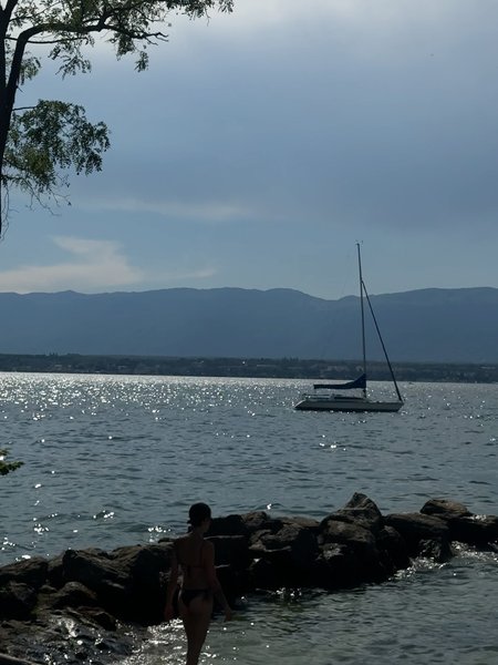 Thumbnail of p-dl0k23xto85-7a53cf618d274c5b 14