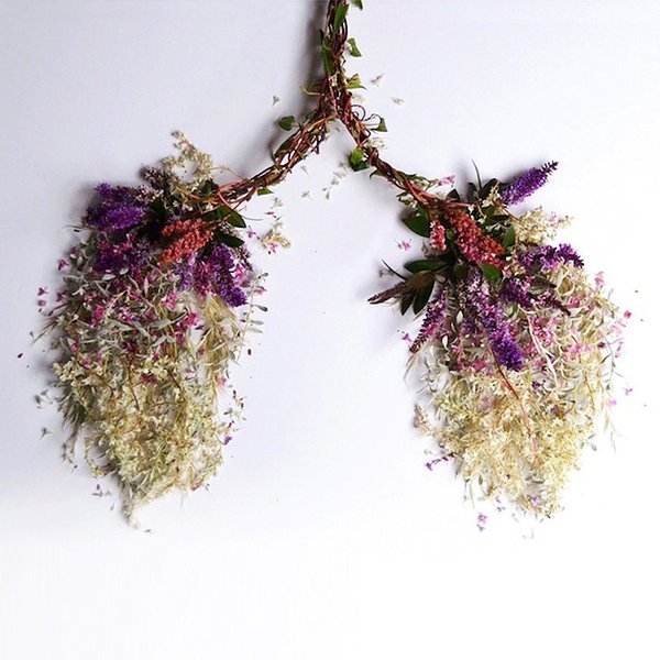 Thumbnail of p-b9rs3v9g8cq-7a7b47df1c5b47af 0