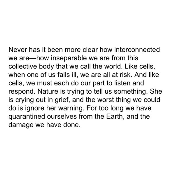 Thumbnail of p-b9rs3v9g8cq-7a7b47df1c5b47af 5