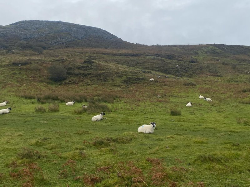 Thumbnail of p-dpwa4agdvyh-7a87841fed0c445b 11