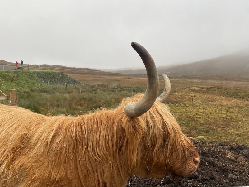 Thumbnail of p-dpwa4agdvyh-7a87841fed0c445b 13