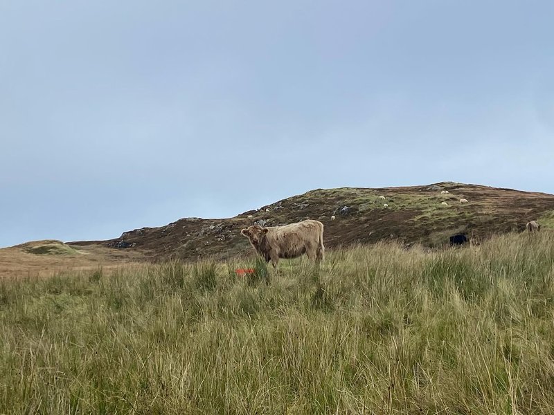 Thumbnail of p-dpwa4agdvyh-7a87841fed0c445b 2