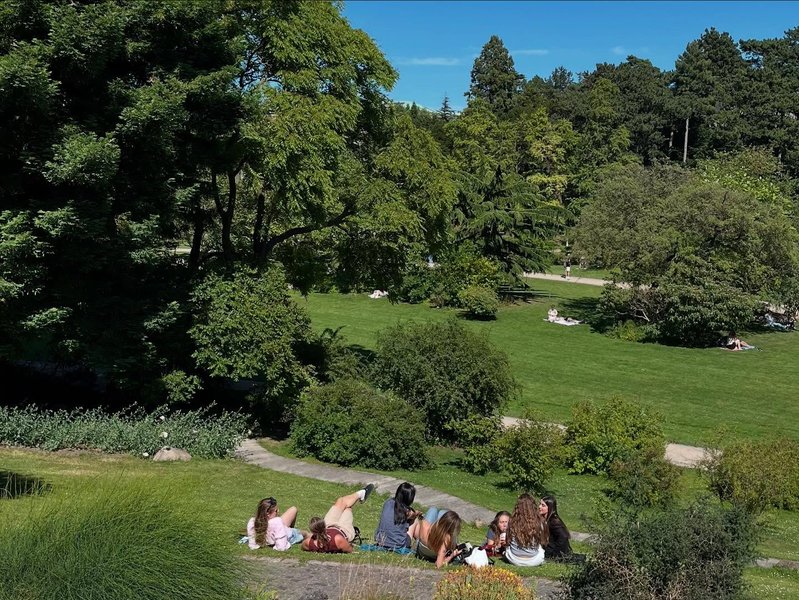 Thumbnail of p-dmltirjnhia-7a99a44f04b649a1 11