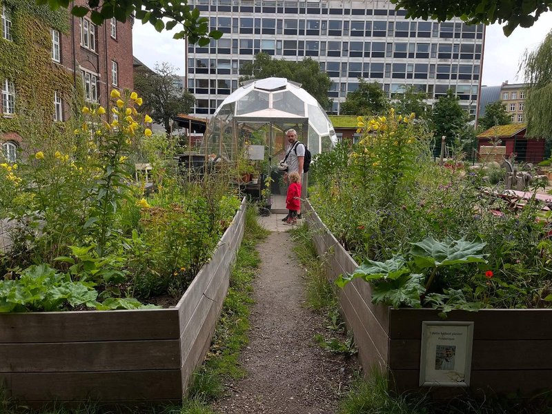 Thumbnail of p-dmltirjnhia-7a99a44f04b649a1 2