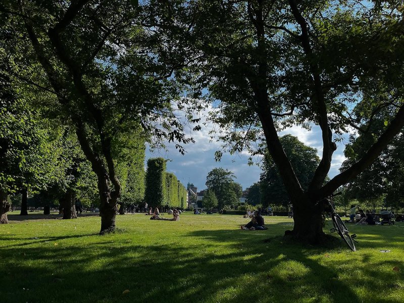 Thumbnail of p-dmltirjnhia-7a99a44f04b649a1 4